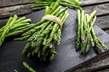ASPERGE PAYS CATHARE